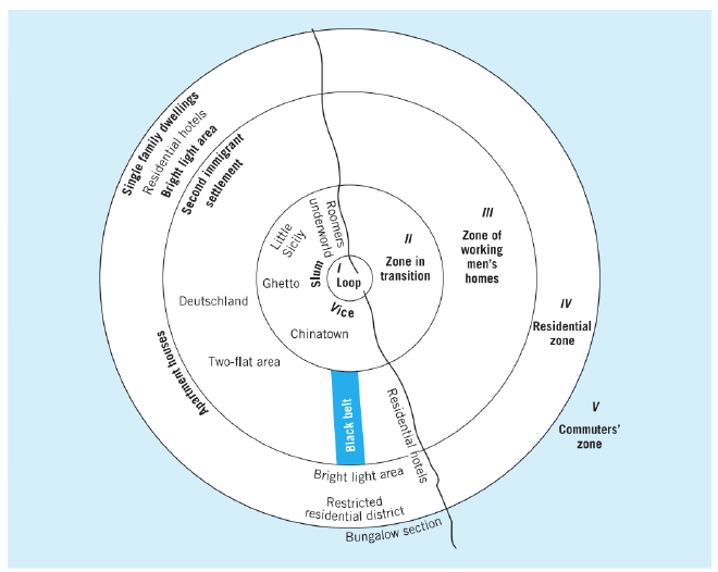 &lsquo;Burgess’s zonal model applied to Chicago&rsquo; (Knox and Pinch 2014:158)