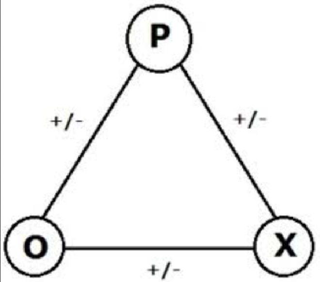 In the case of three entities, a balanced state exists if all three relations are positive in all respects, or if two are negative and one positive&rsquo; (Heider 1946:110)